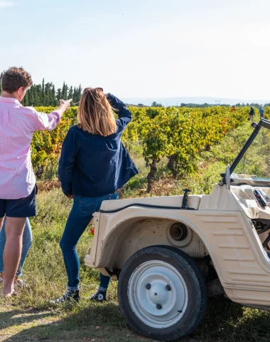 Le Domaine des Romarins lauréat des Trophées de l’oenotourisme 2025