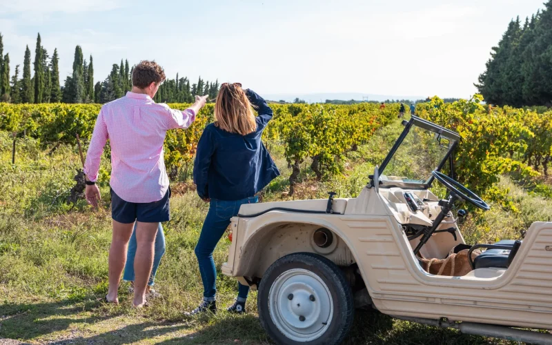 Le Domaine des Romarins lauréat des Trophées de l’oenotourisme 2025