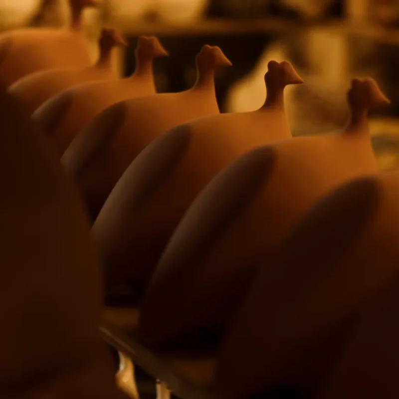 Les Céramiques de Lussan, un savoir-faire artisanal emblématique