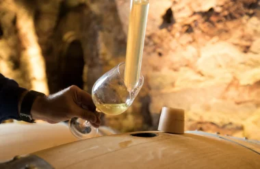 Zoom sur les appellations viticoles de la Destination UP