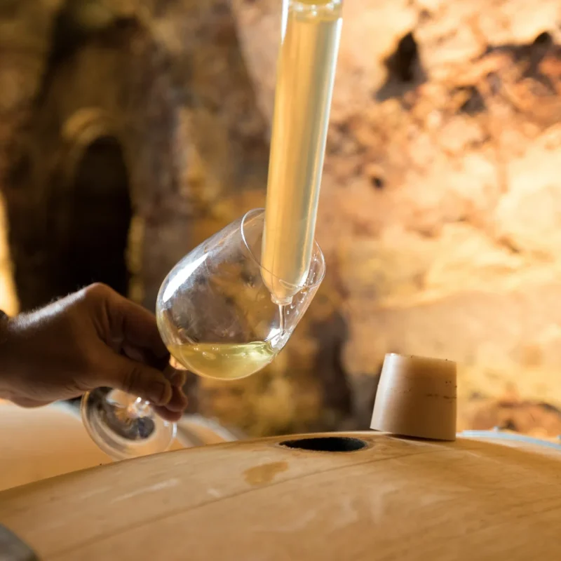 Zoom sur les appellations viticoles de la Destination UP