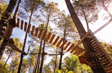 Air de Nature : l’accrobranche au cœur d’un engagement durable