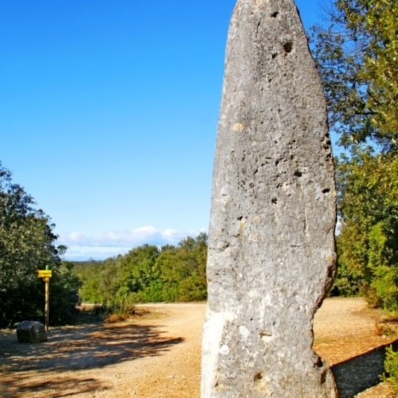 Le Menhir de la Pierre Plantée : un vestige préhistorique à Lussan