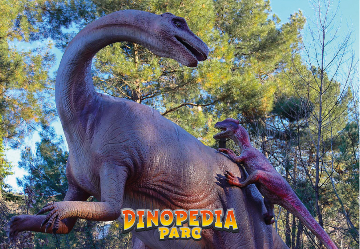Dinopedia Parc