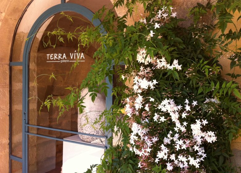 Galerie Terra Viva
